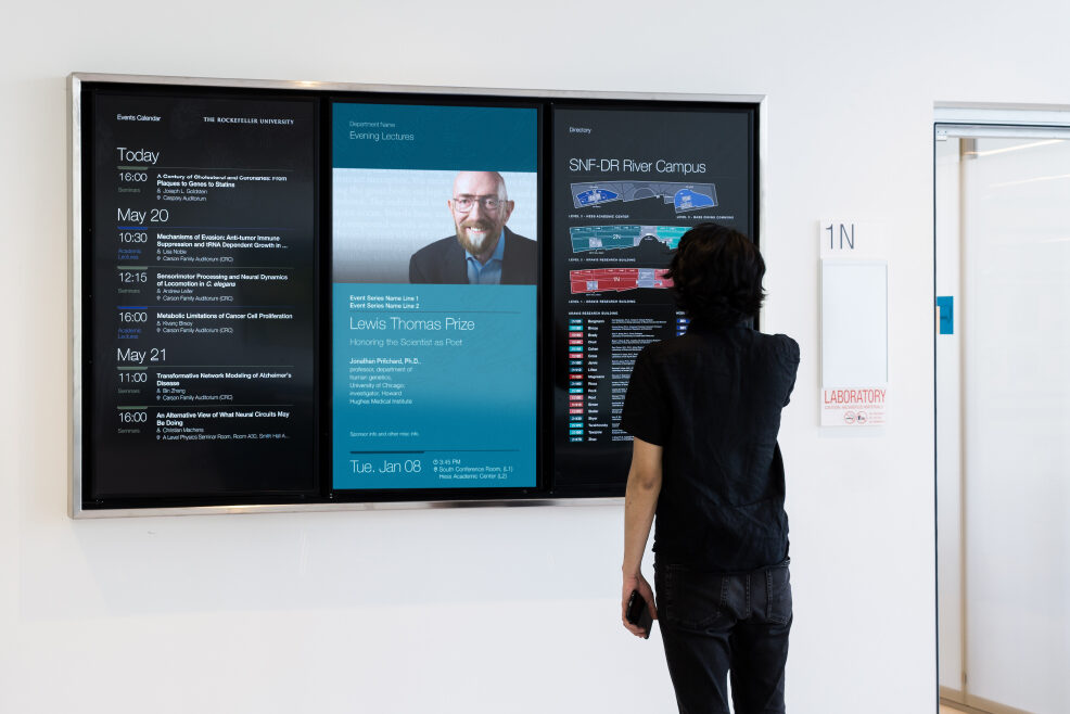  Player Digital Signage BrightSign XD235